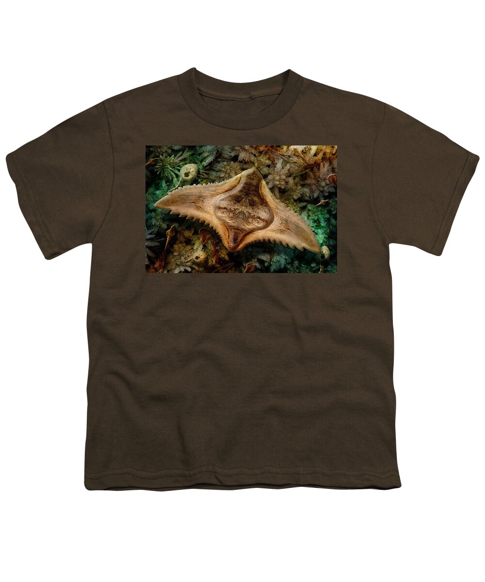 Swamp Youth T-Shirt featuring the photograph Swamp Ray by WB Johnston