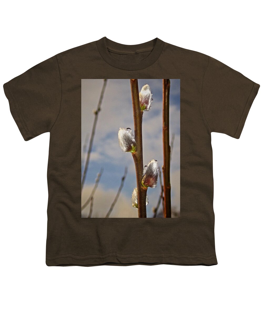 Catkins Youth T-Shirt featuring the photograph Tears of the Cat by Richard Cummings