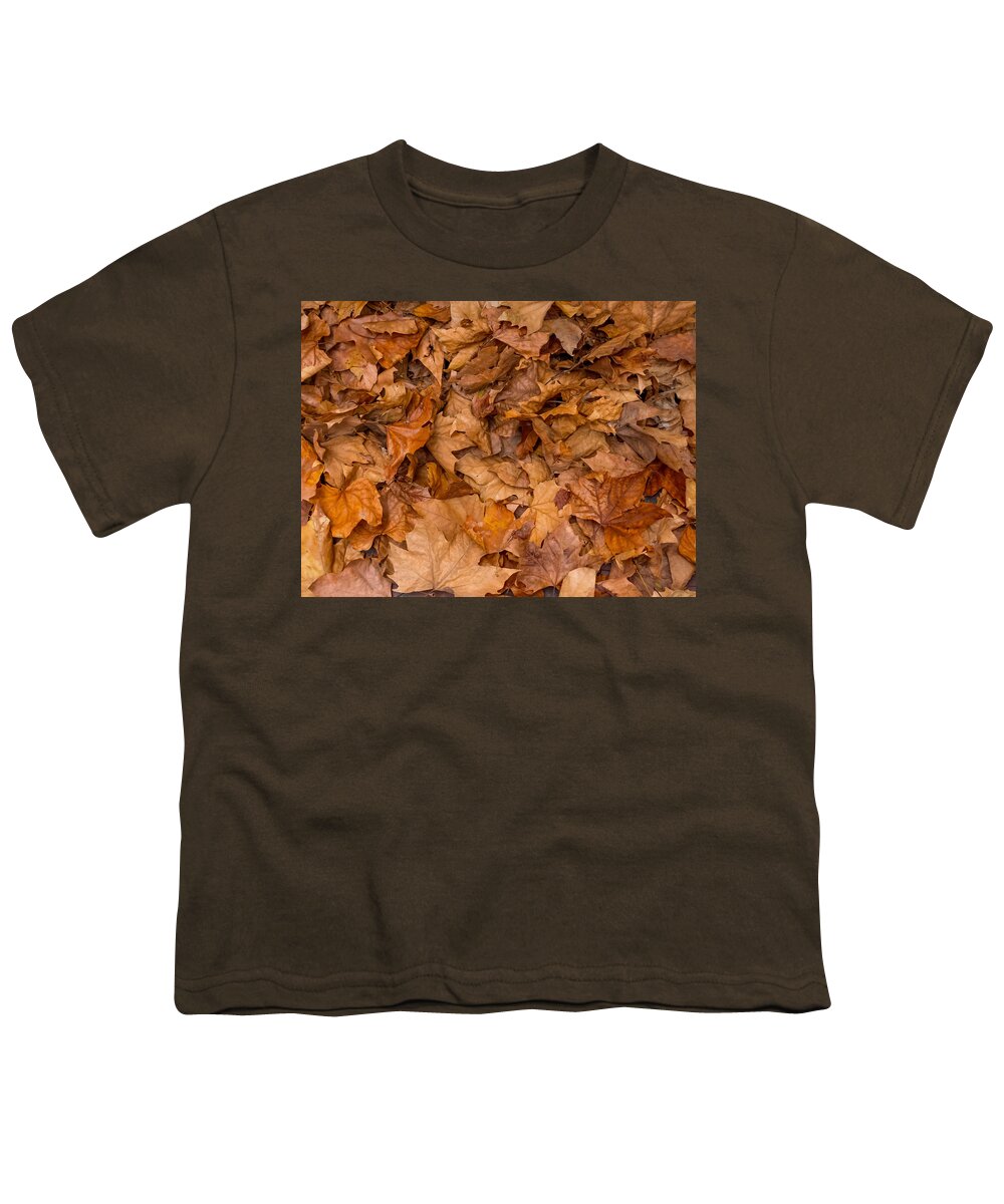 Autumn Youth T-Shirt featuring the photograph The Fallen by Derek Dean