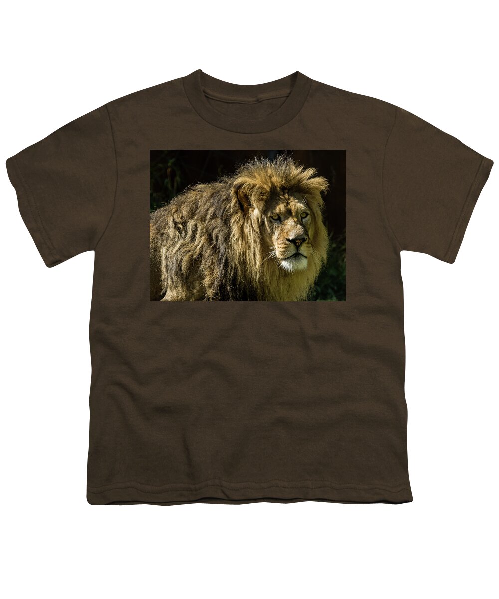 Lion Youth T-Shirt featuring the photograph The Handsome King by Yeates Photography
