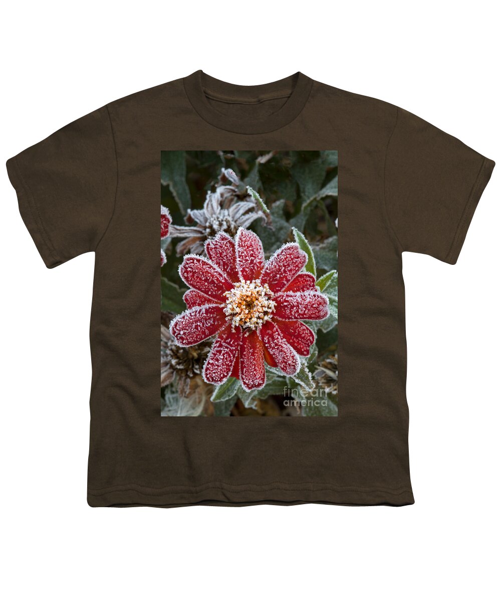 Mexican Sunflower Youth T-Shirt featuring the photograph Tithonia After First Frost by Kenneth M. Highfill