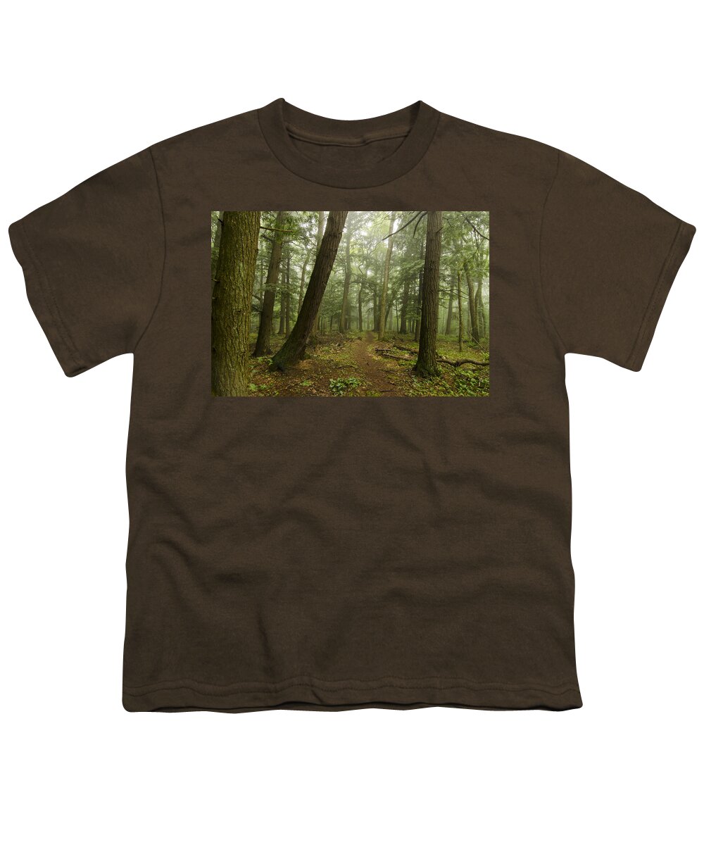 Porcupine Mountains Youth T-Shirt featuring the photograph To Grand Mother's House We Go by Steve L'Italien