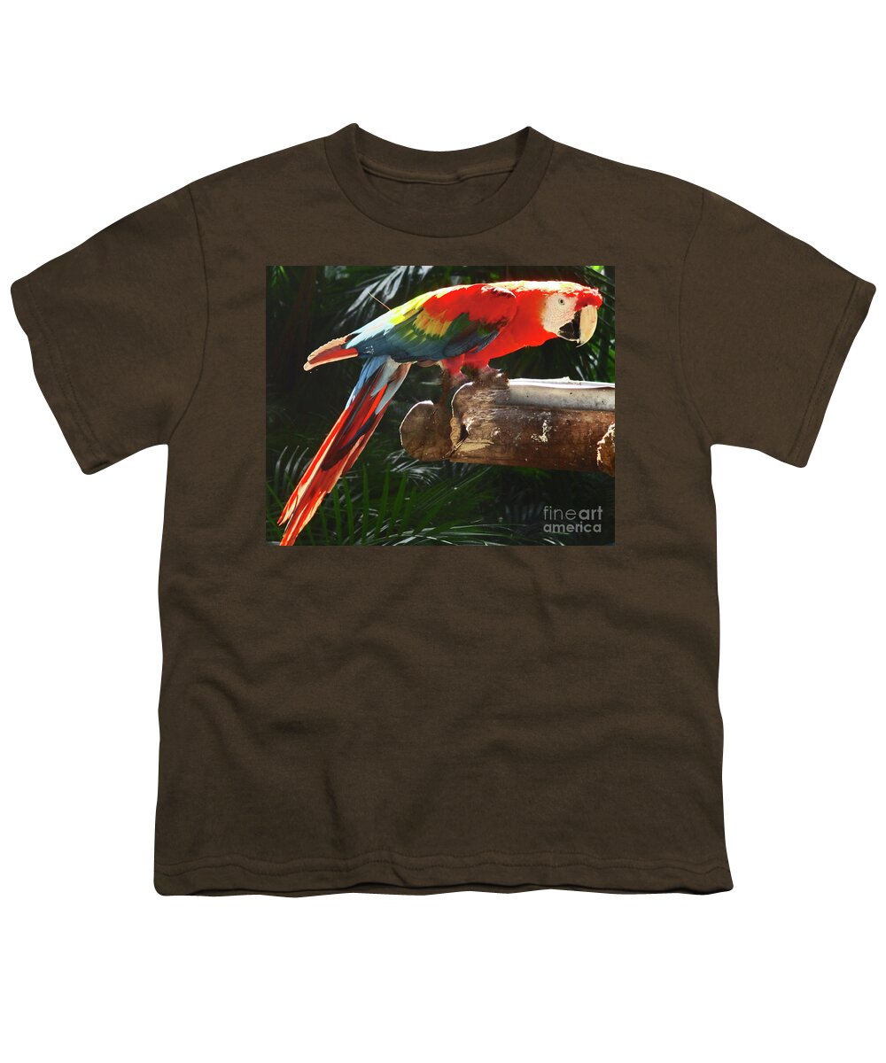 Bird Youth T-Shirt featuring the photograph Tropical Bird 6 by Randall Weidner