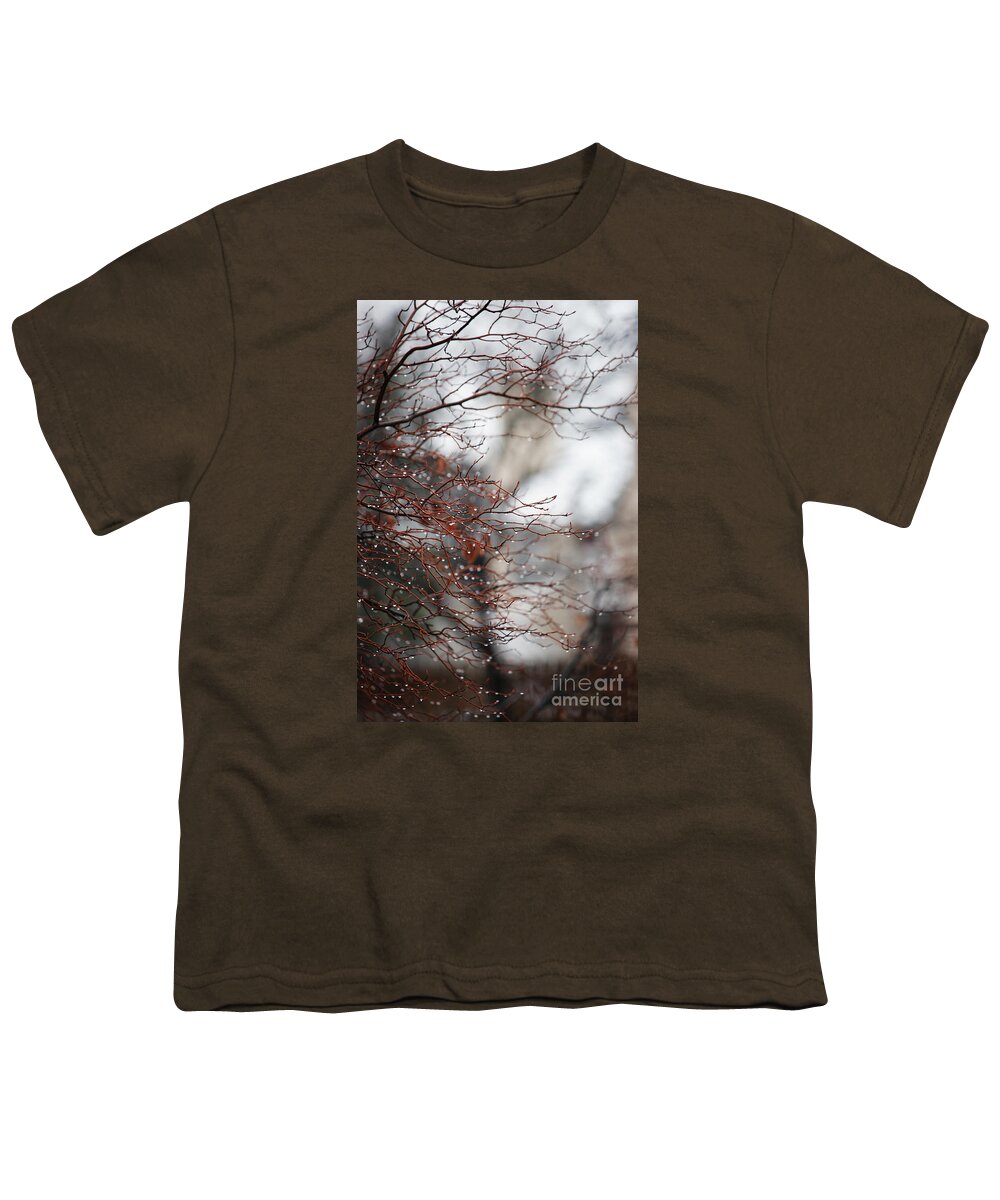 Trees Youth T-Shirt featuring the photograph Wintry Mix by Linda Shafer