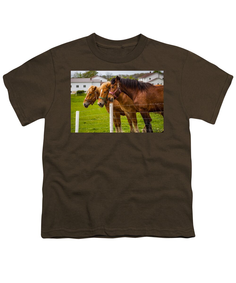 Horses Youth T-Shirt featuring the photograph Workhorse Trio by Kevin Craft