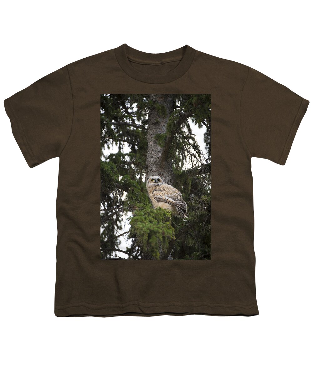 Owl Youth T-Shirt featuring the photograph Young Owl in Tree by Bill Cubitt