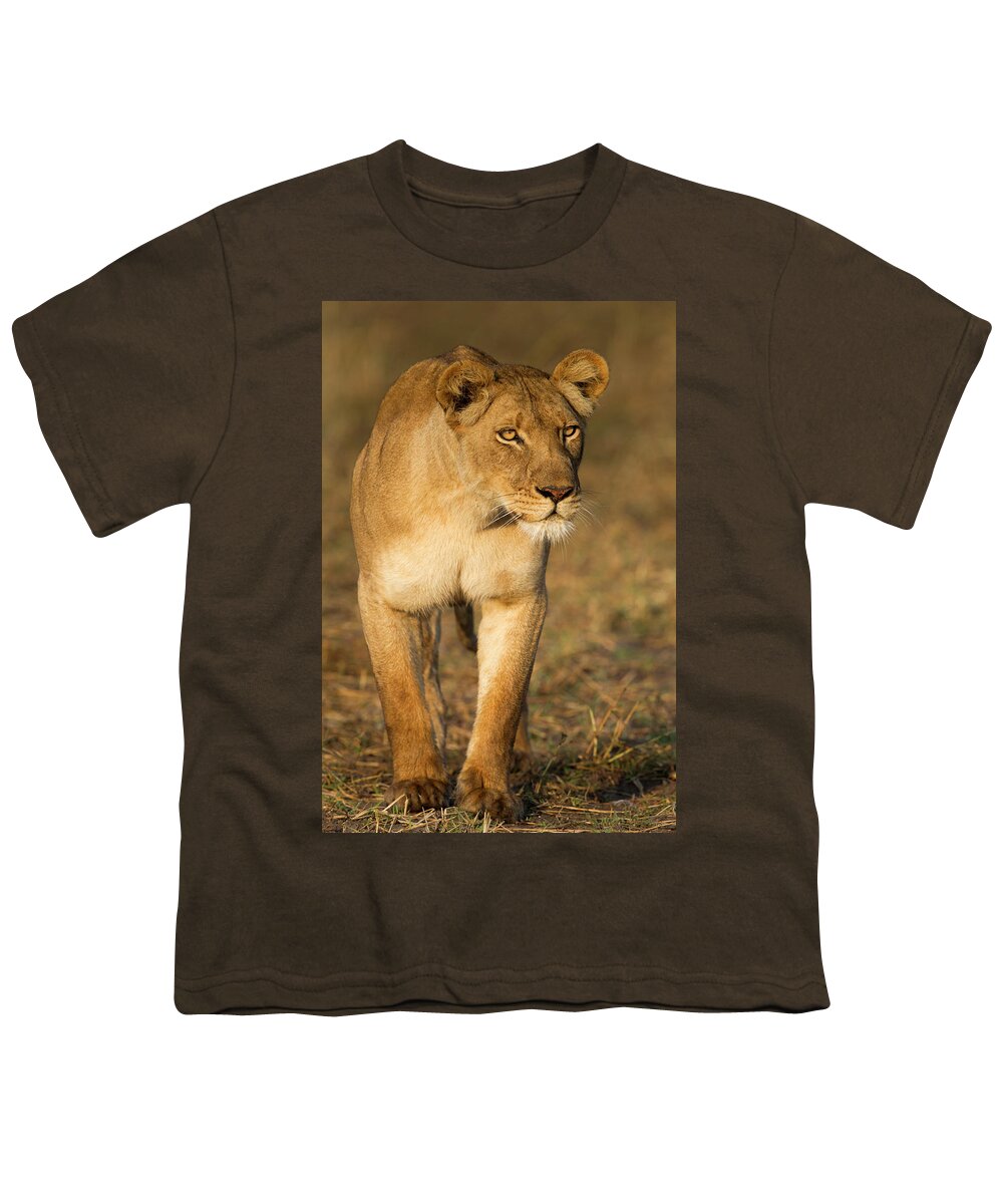 Sebastian Kennerknecht Youth T-Shirt featuring the photograph African Lioness Stalking by Sebastian Kennerknecht