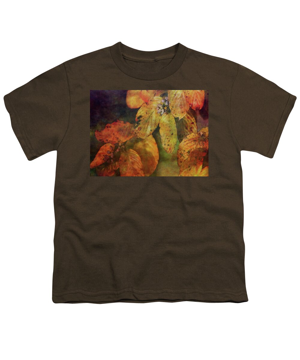 Impressionist Youth T-Shirt featuring the photograph Approaching Amber 5717 IDP_2 by Steven Ward