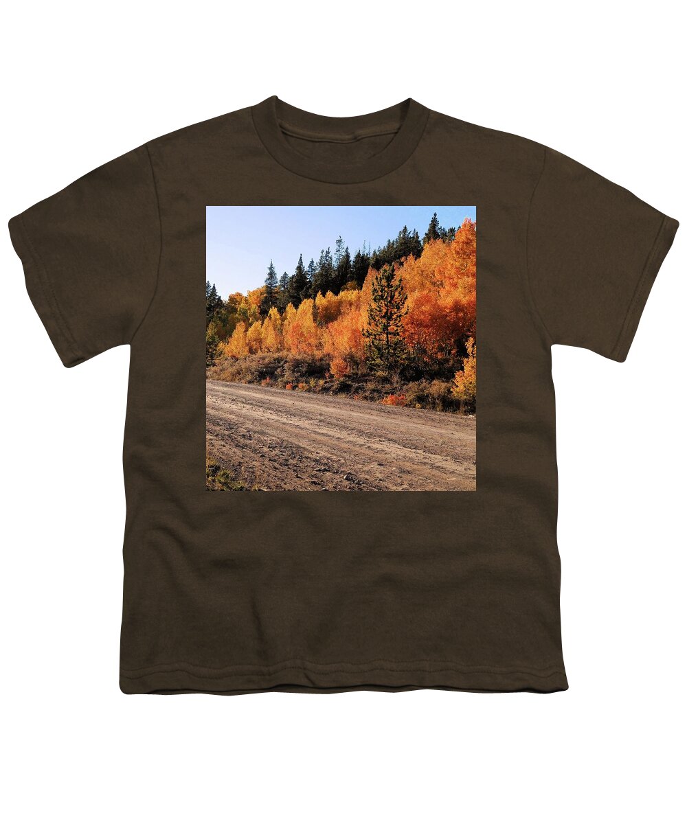Aspens Youth T-Shirt featuring the photograph Aspen Trail by Karen Stansberry