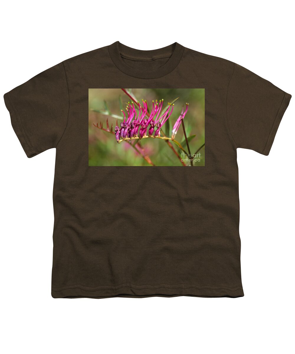 Grevillea Towera Poorinda Anticipation Youth T-Shirt featuring the photograph Autumns Pink Grevillea by Joy Watson
