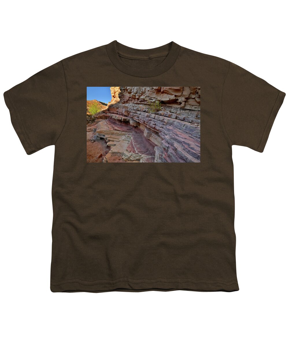 San Rafael Swell Youth T-Shirt featuring the photograph Colorful Cove in Bell Canyon in Utah by Ray Mathis