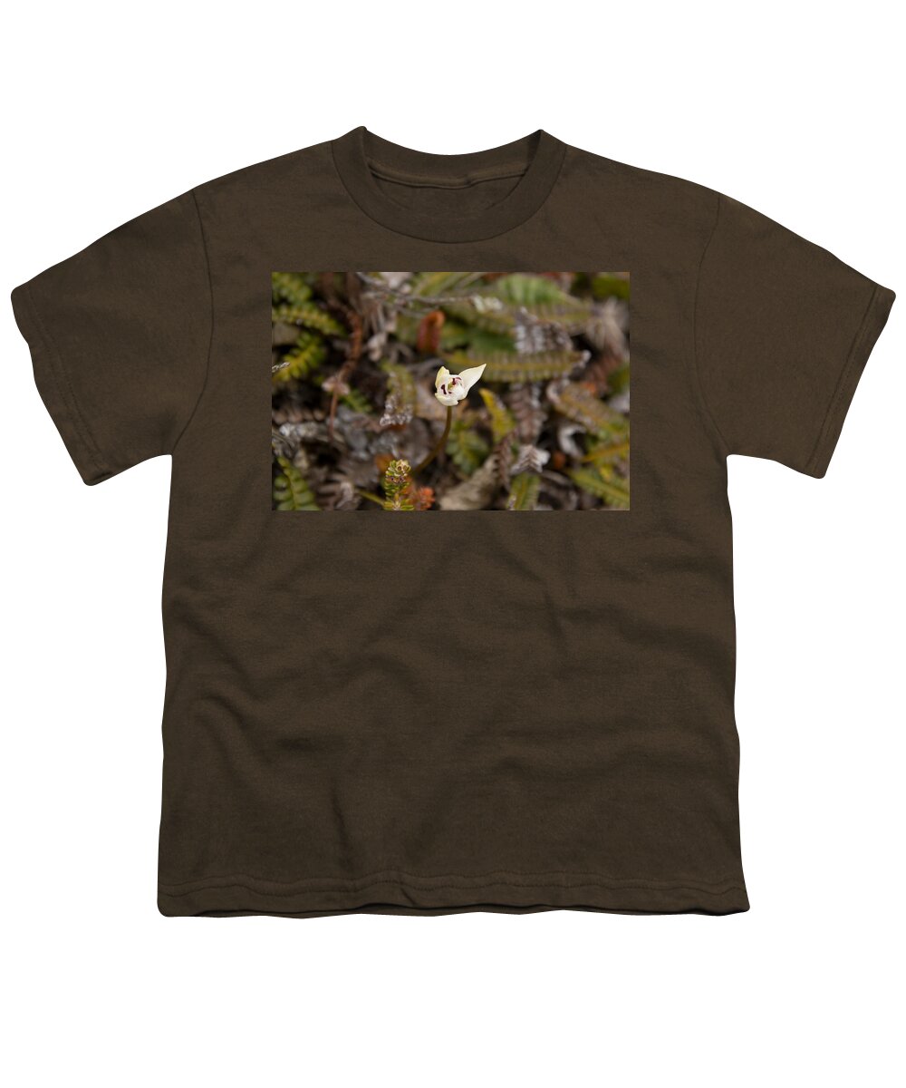 Angiosperm Youth T-Shirt featuring the photograph Dog Orchid by David Hosking