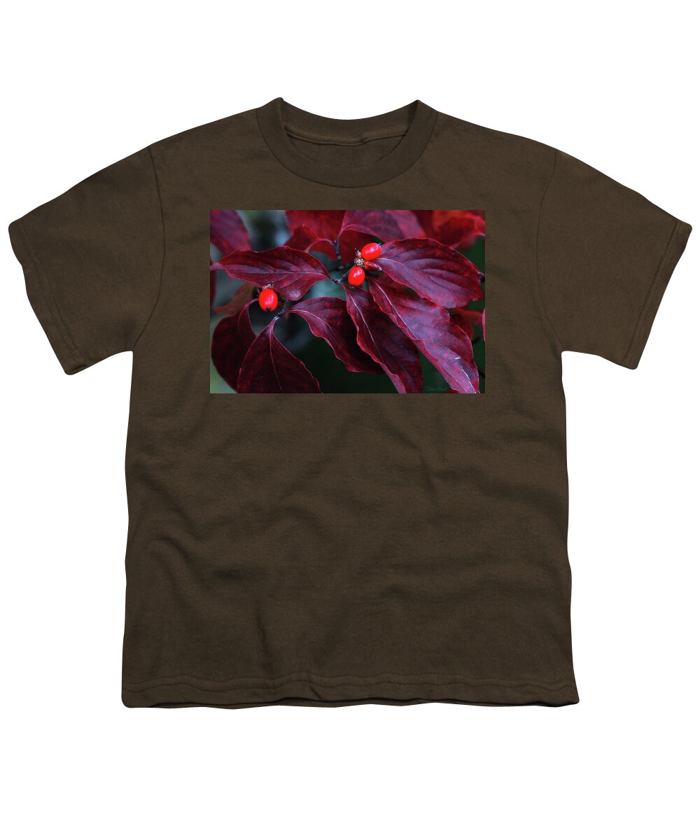 Leaves Youth T-Shirt featuring the photograph Dogwood Leaves in the Fall by Trina Ansel