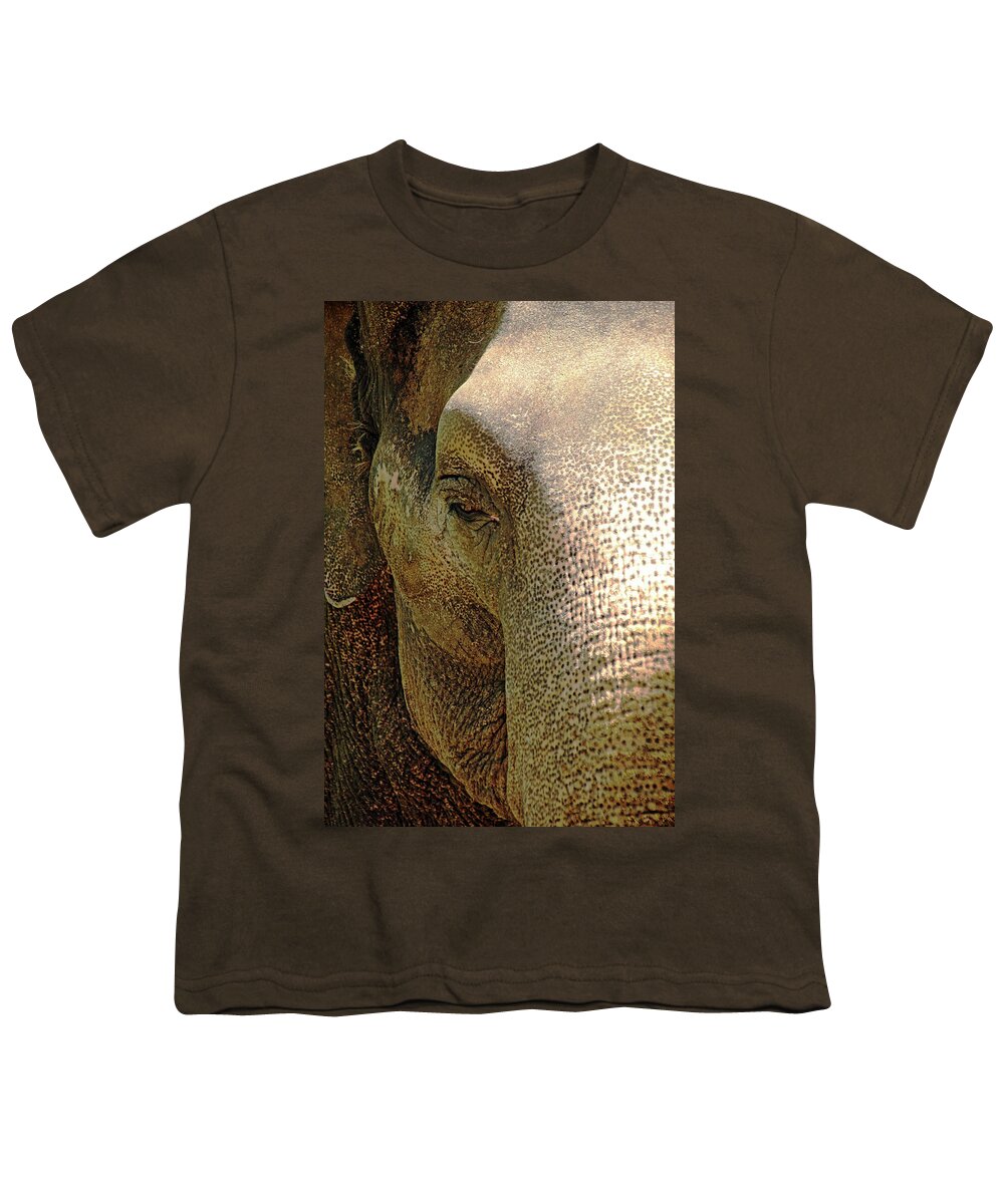 Elephant Youth T-Shirt featuring the photograph Elephant Close Up by Debbie Oppermann