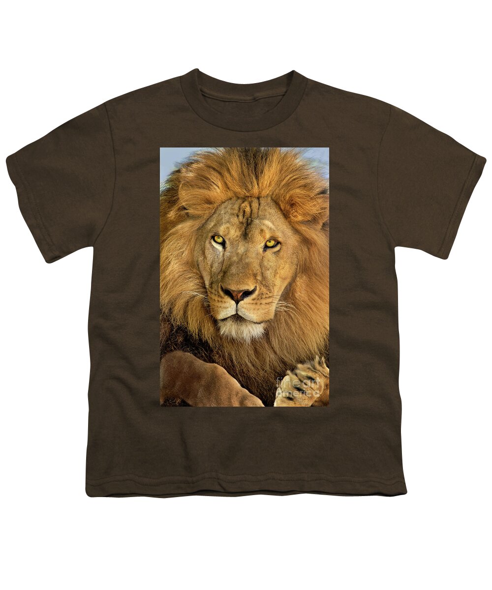 Dave Welling Youth T-Shirt featuring the photograph Male African Lion Portrait Wildlife Rescue by Dave Welling