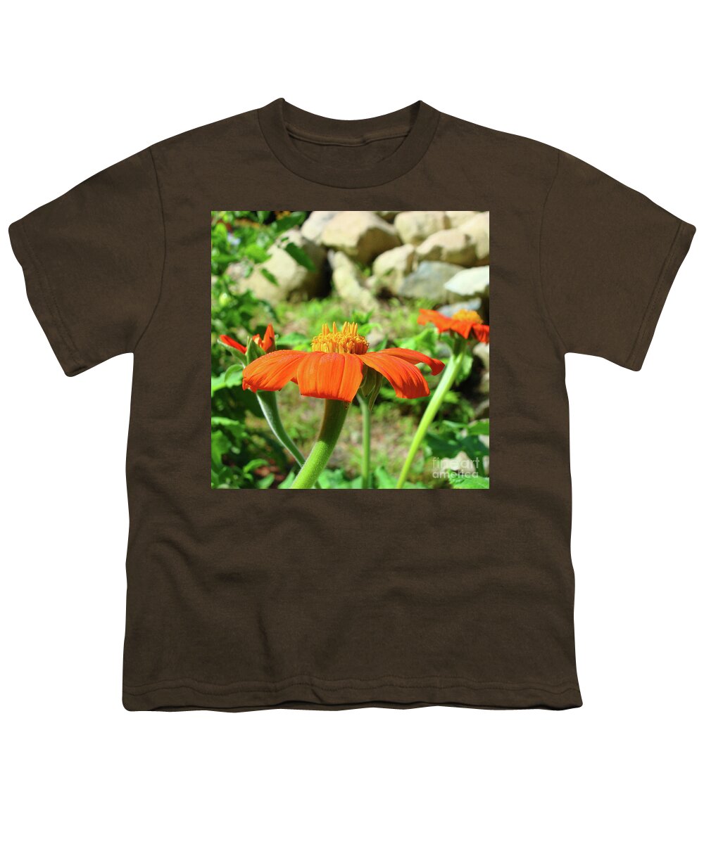 Mexican Sunflower Youth T-Shirt featuring the photograph Mexican Sunflower 20 by Amy E Fraser