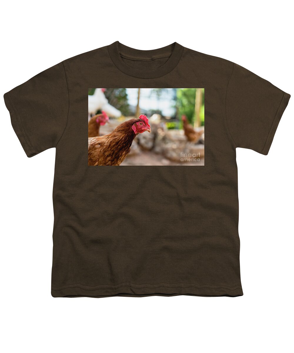 Animal Youth T-Shirt featuring the photograph Organic chickens in their corral. by Joaquin Corbalan