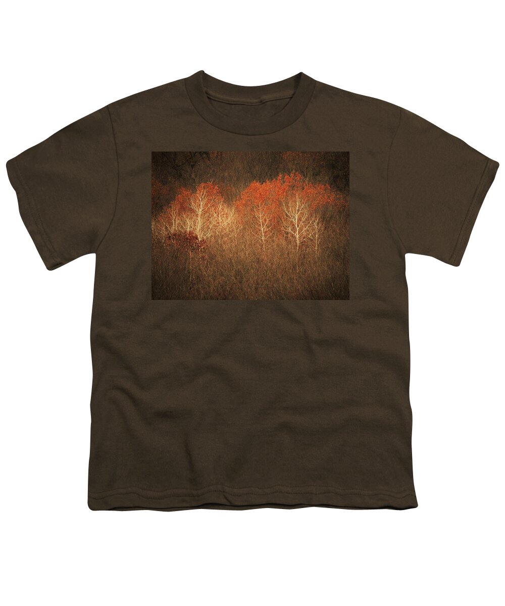 Trees Youth T-Shirt featuring the photograph Red Headed Birch by Lori Frisch