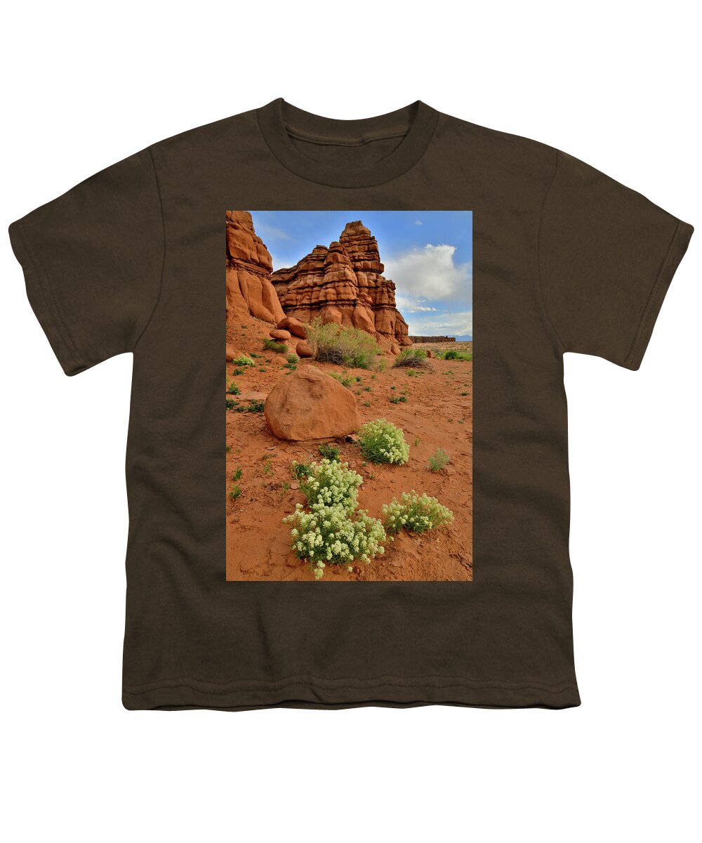 Ruby Mountain Youth T-Shirt featuring the photograph Rest Area near Hanksville Utah by Ray Mathis