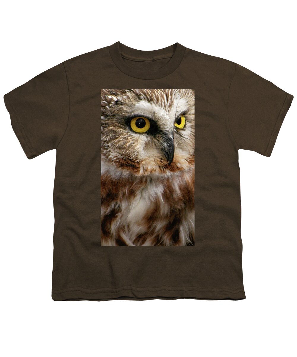 Birds Youth T-Shirt featuring the photograph Saw-whet Owl by Minnie Gallman