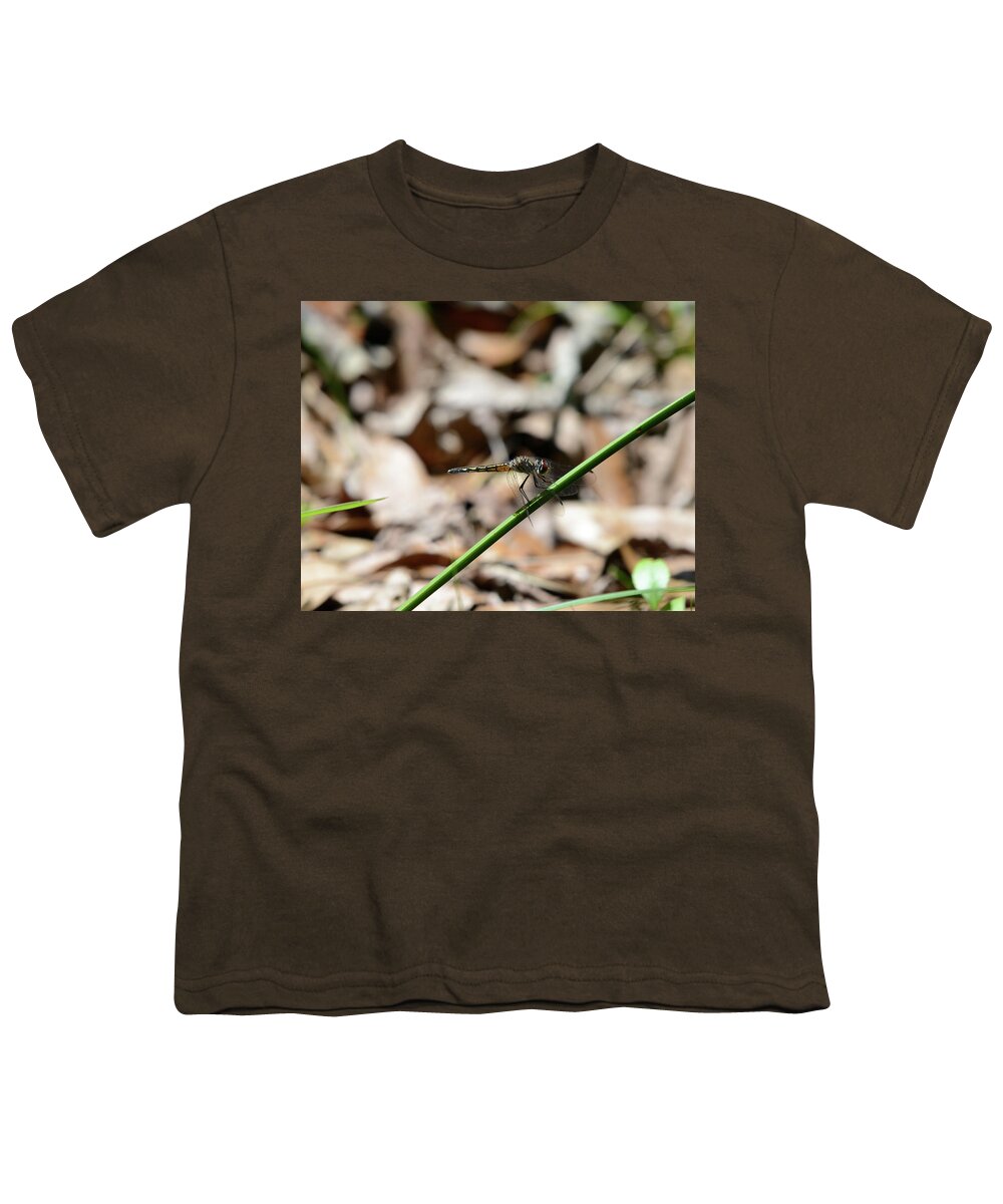 Dragonfly Youth T-Shirt featuring the photograph Dragon #1 by David Armstrong