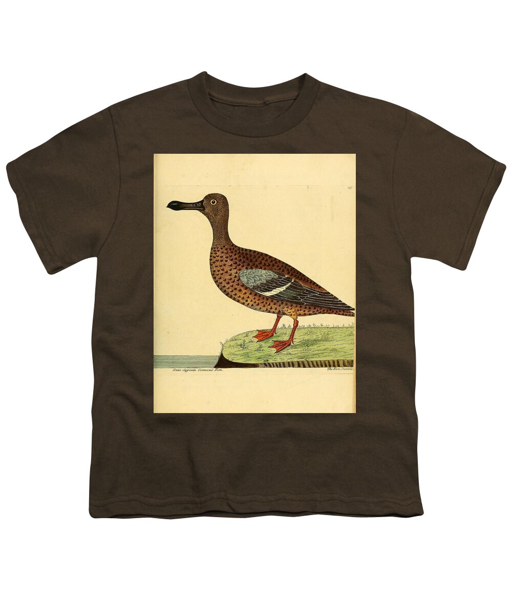Ducks Youth T-Shirt featuring the mixed media Beautiful antique waterfowl #12 by World Art Collective