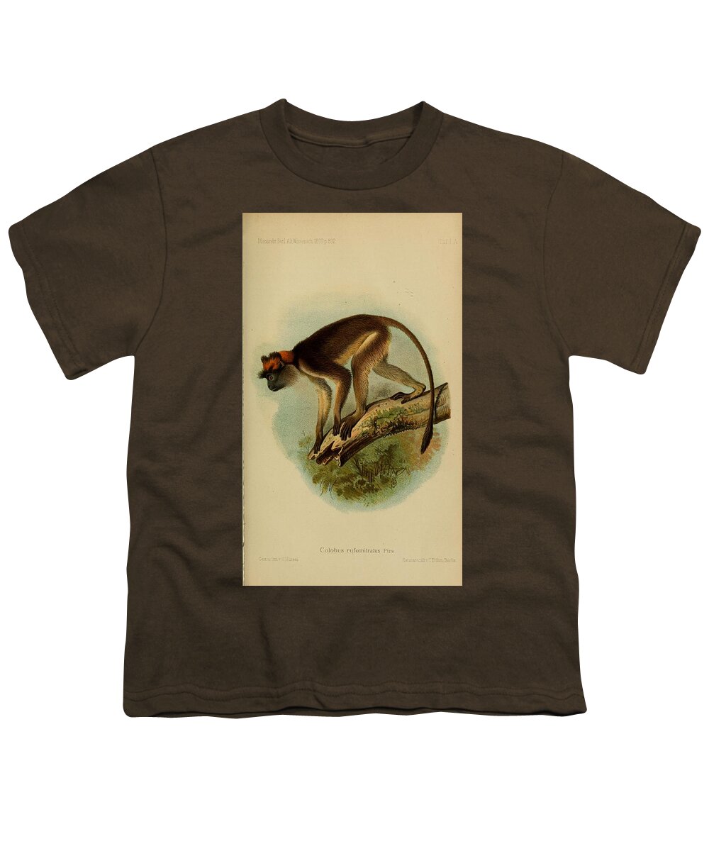 John Youth T-Shirt featuring the mixed media Beautifil Antique Monkey #2 by World Art Collective