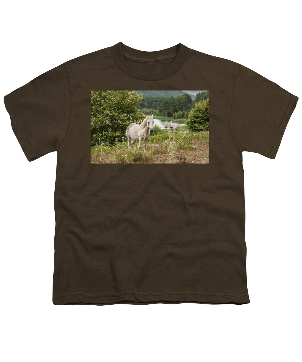 Europe Youth T-Shirt featuring the photograph A horse by Eleni Kouri