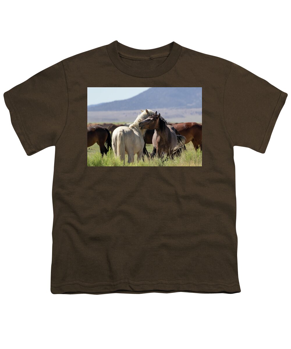 Eastern Sierra Youth T-Shirt featuring the photograph A Nip Here and There by Cheryl Strahl