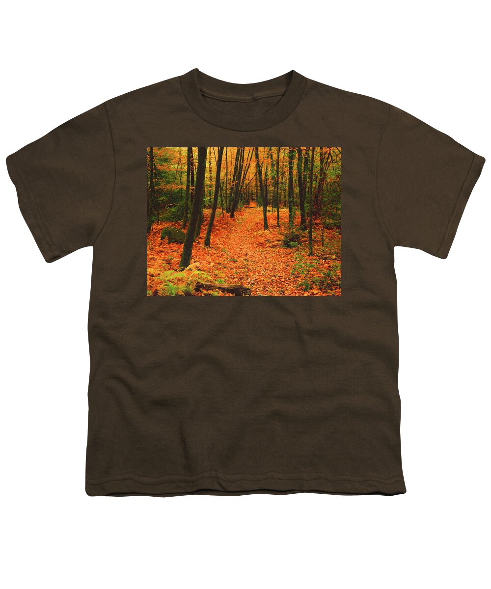 Appalachian Trail In Delaware Water Gap National Recreational Area Youth T-Shirt featuring the photograph Appalachian Trail in Delaware Water Gap National Recreational Area by Raymond Salani III