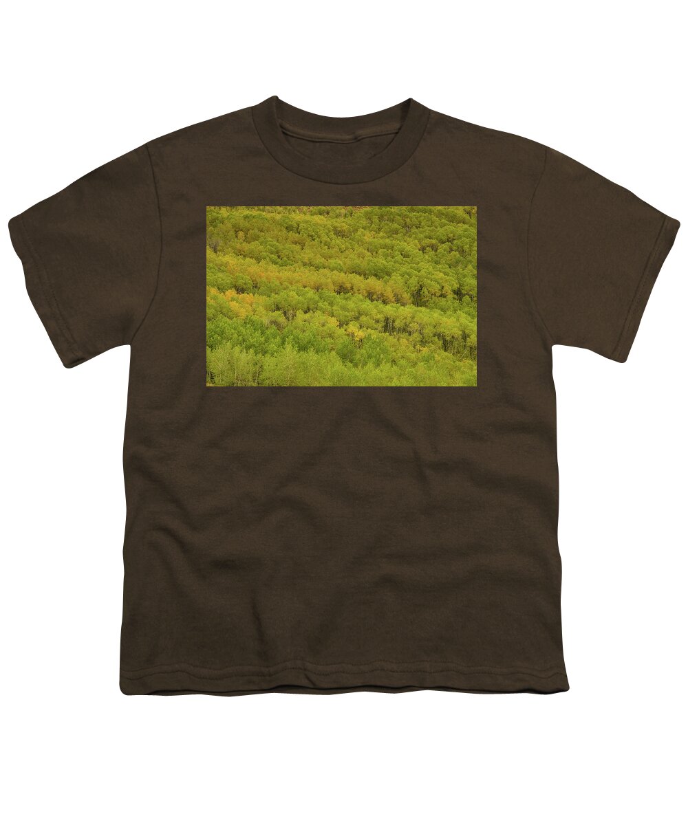 Steens Mountain Youth T-Shirt featuring the photograph Autumn along Steens mountain by Kunal Mehra