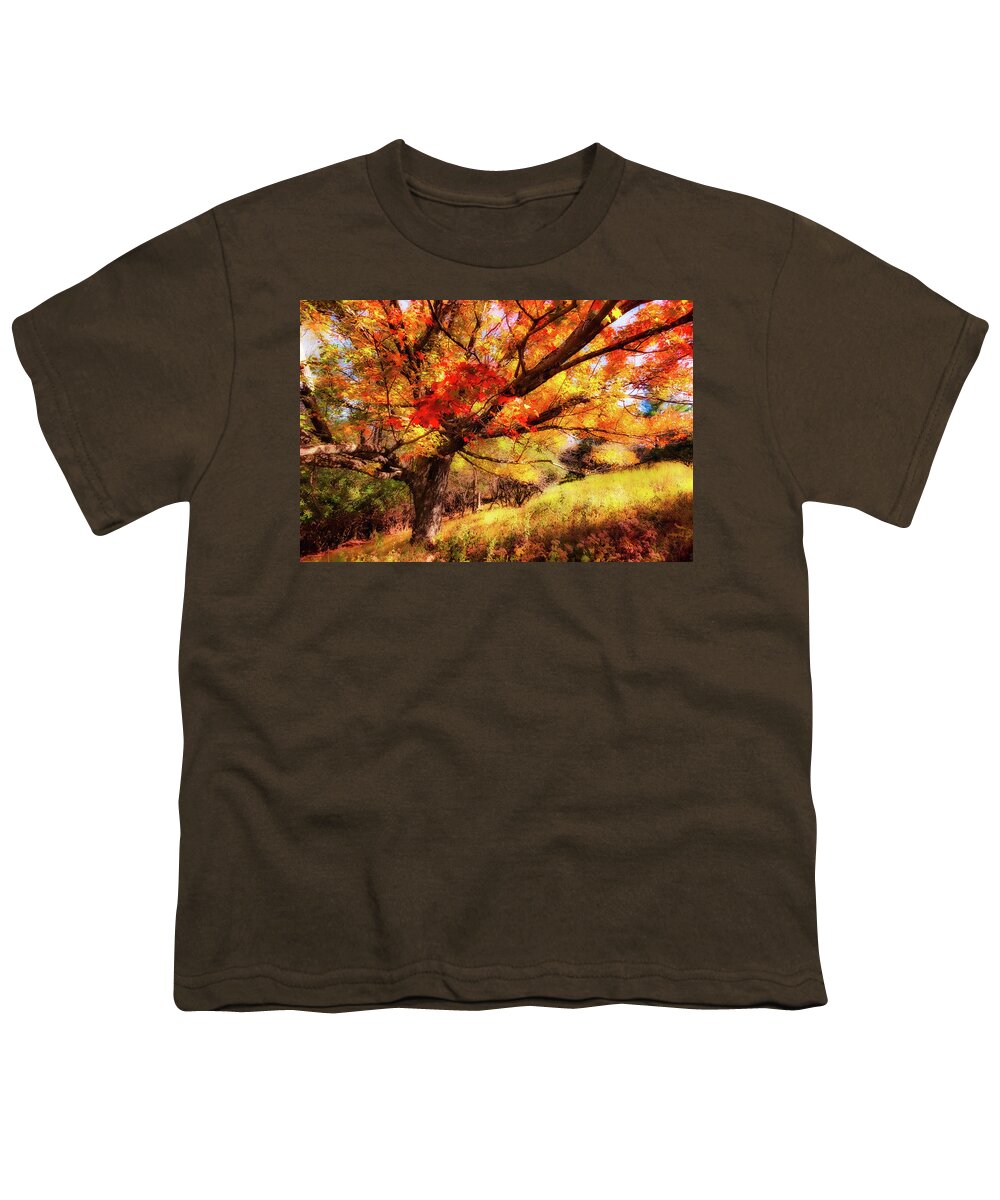 Fall Youth T-Shirt featuring the photograph Autumn Red Tree on a Blue Ridge Hill fx by Dan Carmichael
