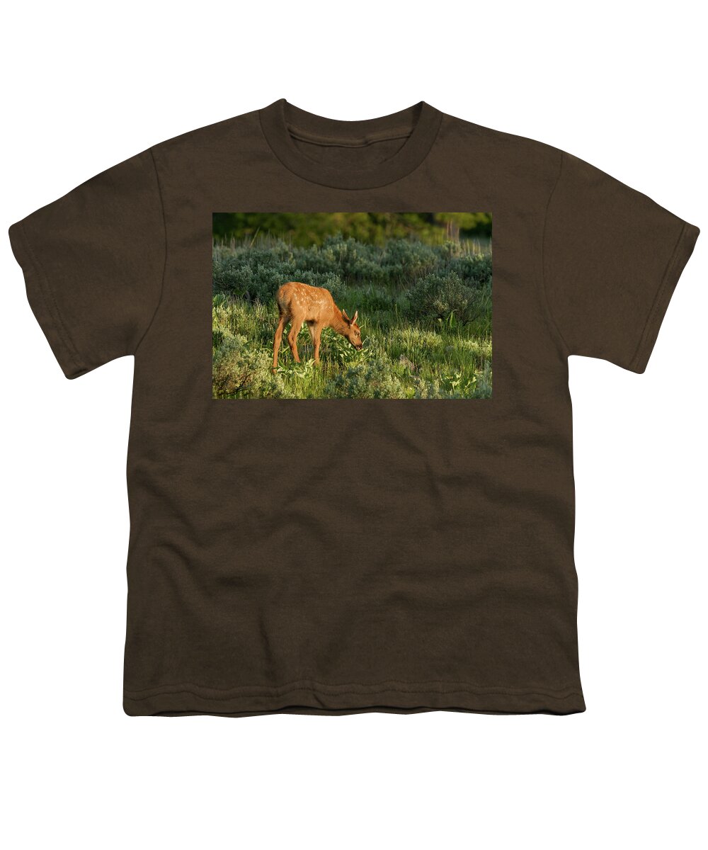 Elk Youth T-Shirt featuring the photograph Baby at sunrise by Ronnie And Frances Howard