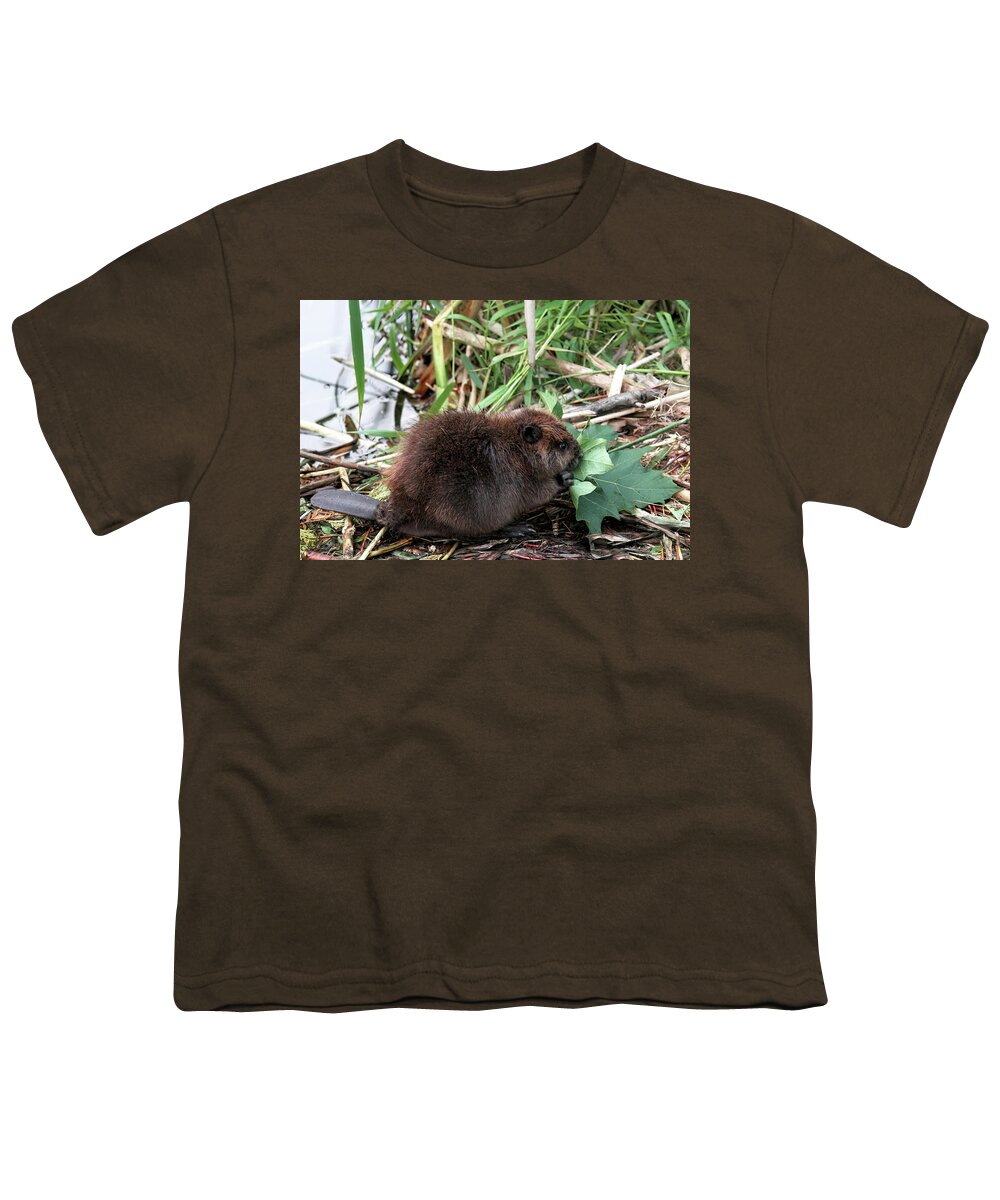 Beavers Youth T-Shirt featuring the photograph Baby Beaver Eating a Maple Leaf by Peggy Collins