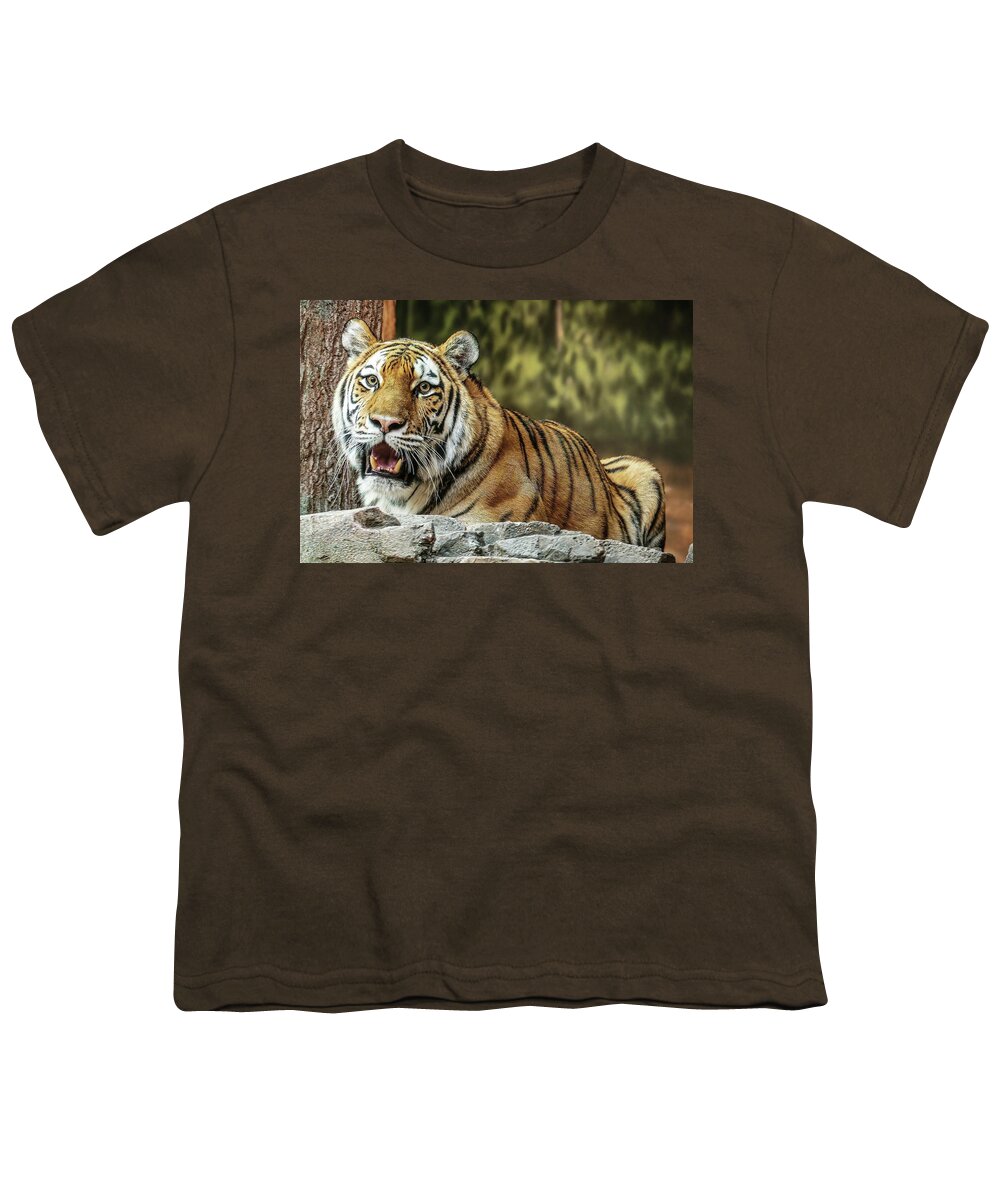 Amur Tiger Youth T-Shirt featuring the photograph Beautiful Markings by Deb Beausoleil