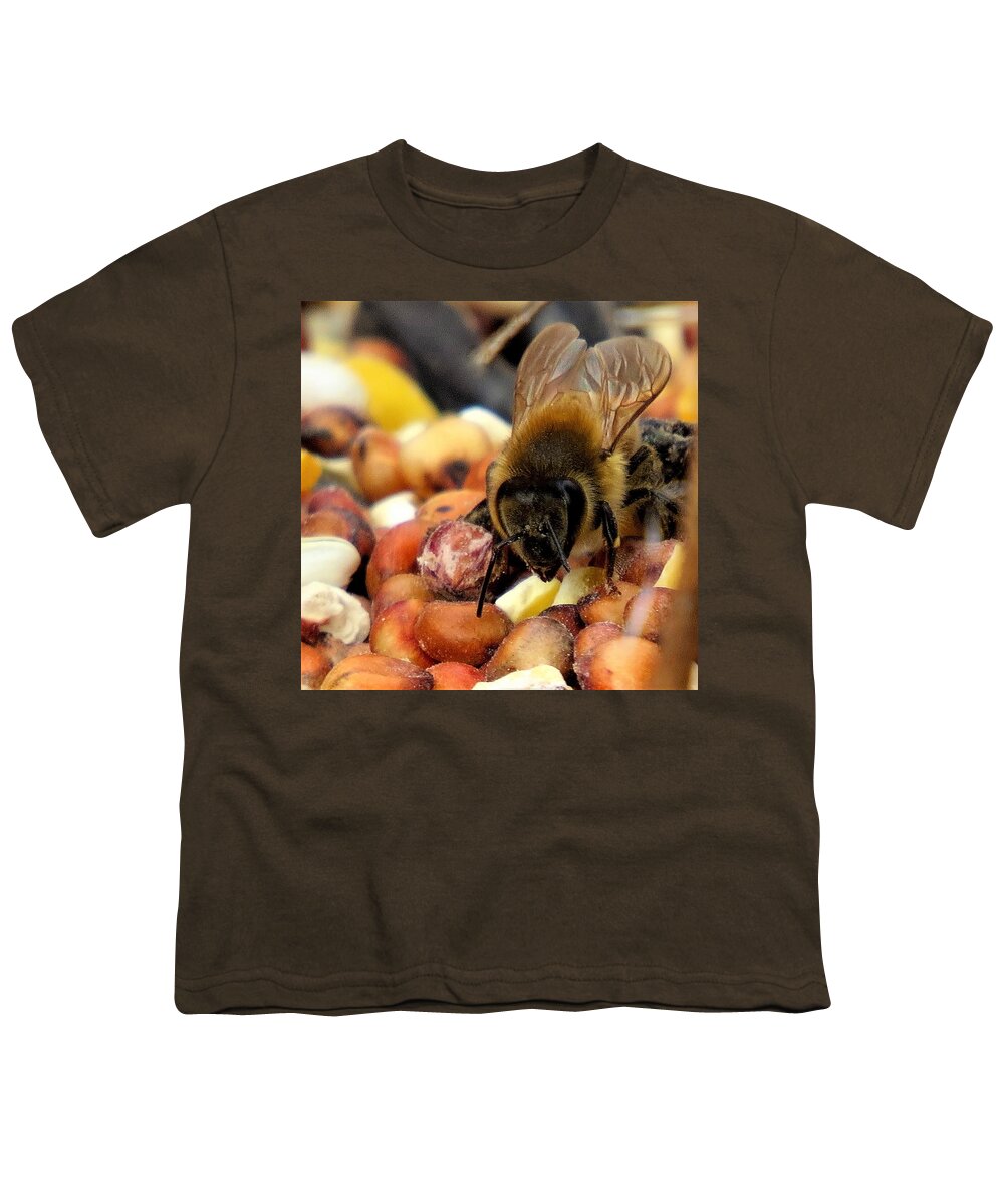 Insects Youth T-Shirt featuring the photograph Bee on Bird Seed by Linda Stern