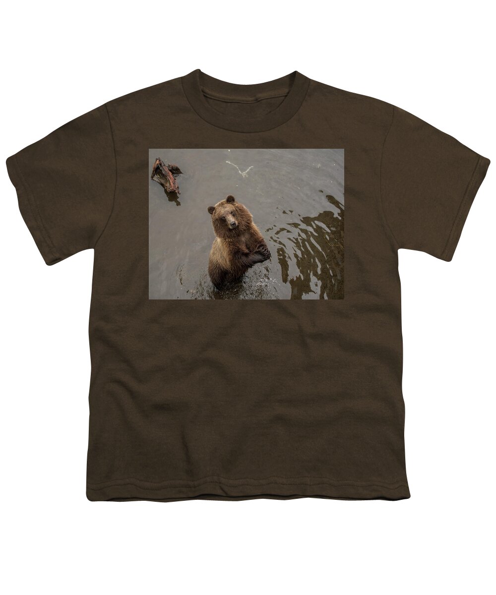 Brown Bear Youth T-Shirt featuring the photograph Begging Bear by David Kirby