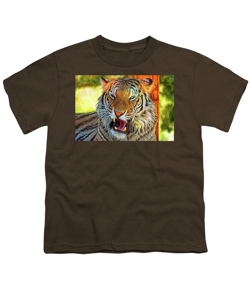 Animal Youth T-Shirt featuring the photograph Big Cat Yawning by David Desautel