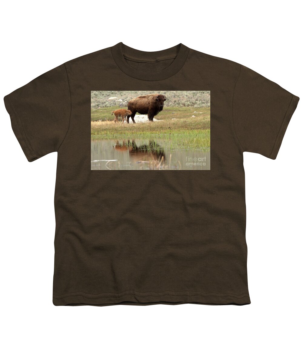Yellowstone Youth T-Shirt featuring the photograph Bison Red Dog With A Wary Eye by Adam Jewell