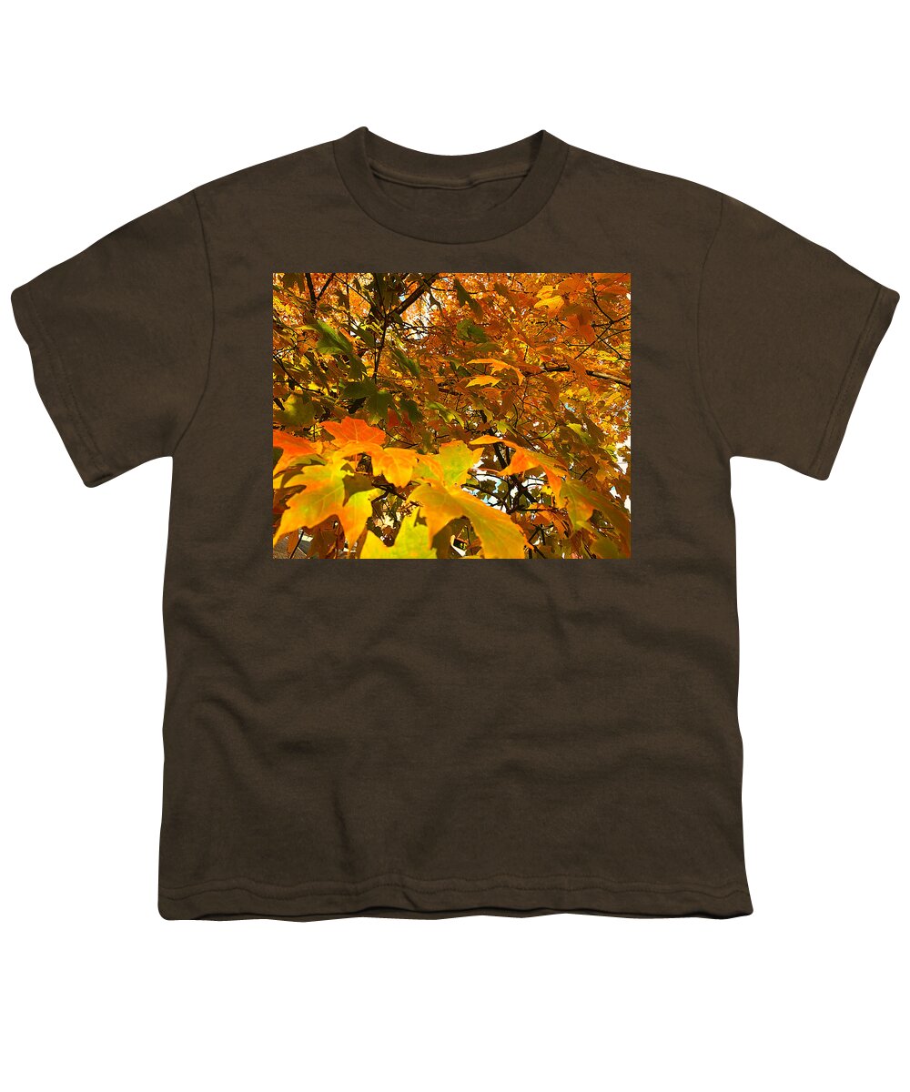 Old Youth T-Shirt featuring the photograph Bleve by Lee Darnell
