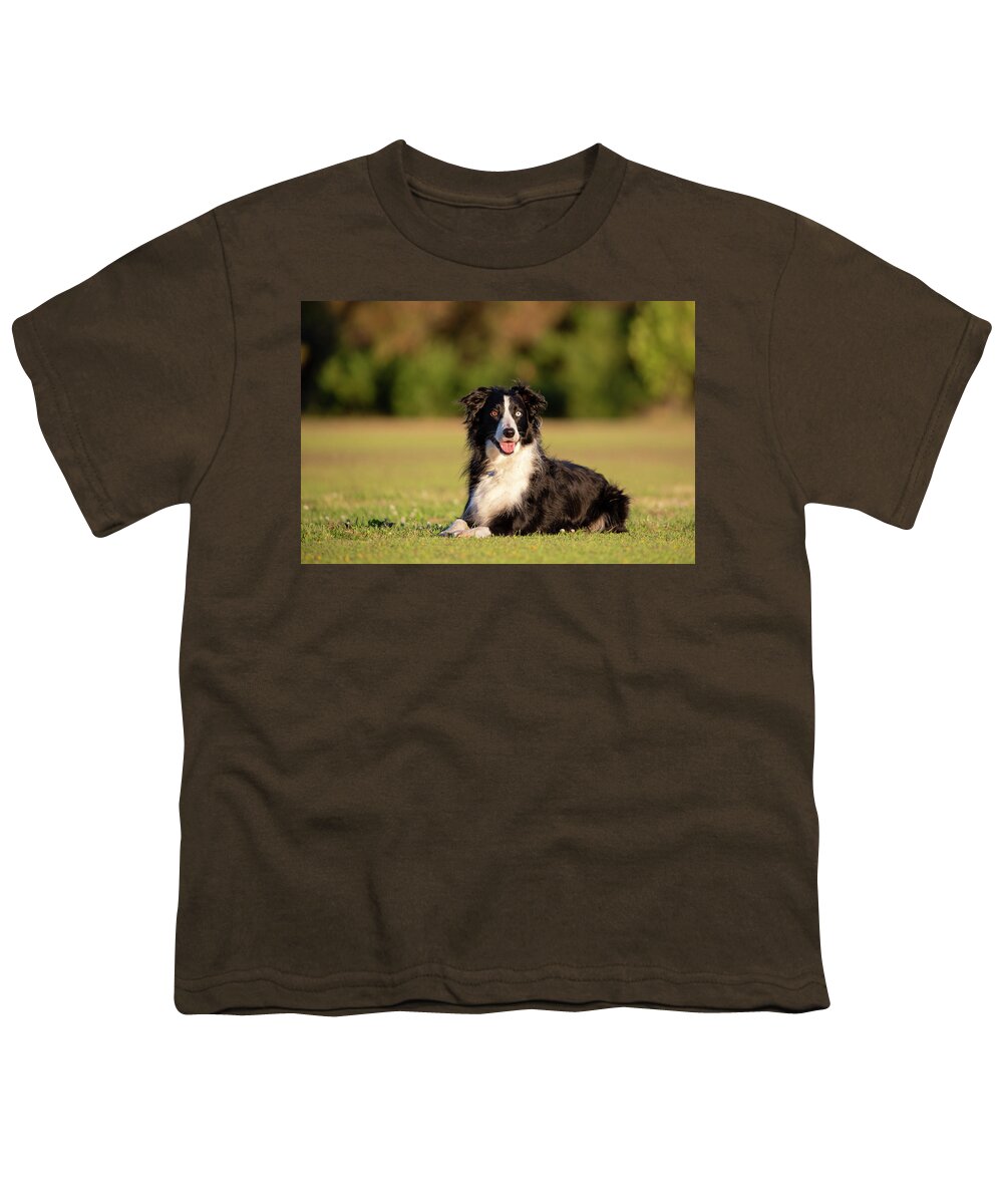 Border Collie Youth T-Shirt featuring the photograph Border Collie by Diana Andersen