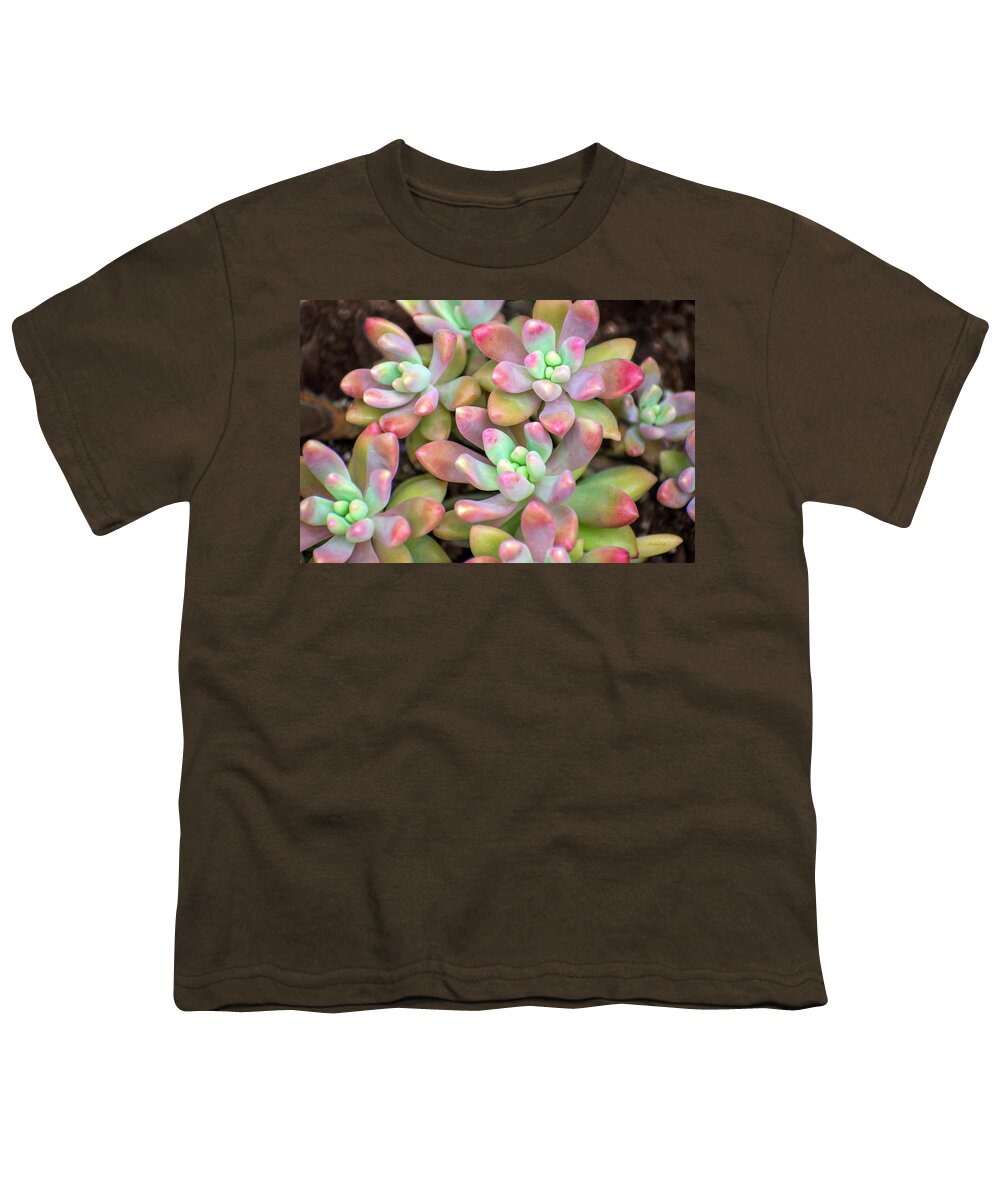 Plant Youth T-Shirt featuring the photograph Colorful Succulent Moonstone Plants by Christina Rollo
