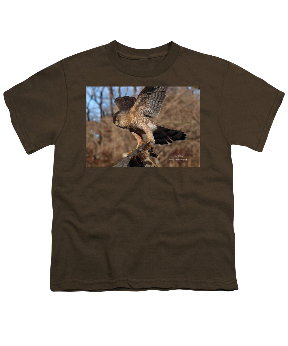 Cooper's Hawk Youth T-Shirt featuring the photograph Cooper's Hawk 4113 by Gail Huddle