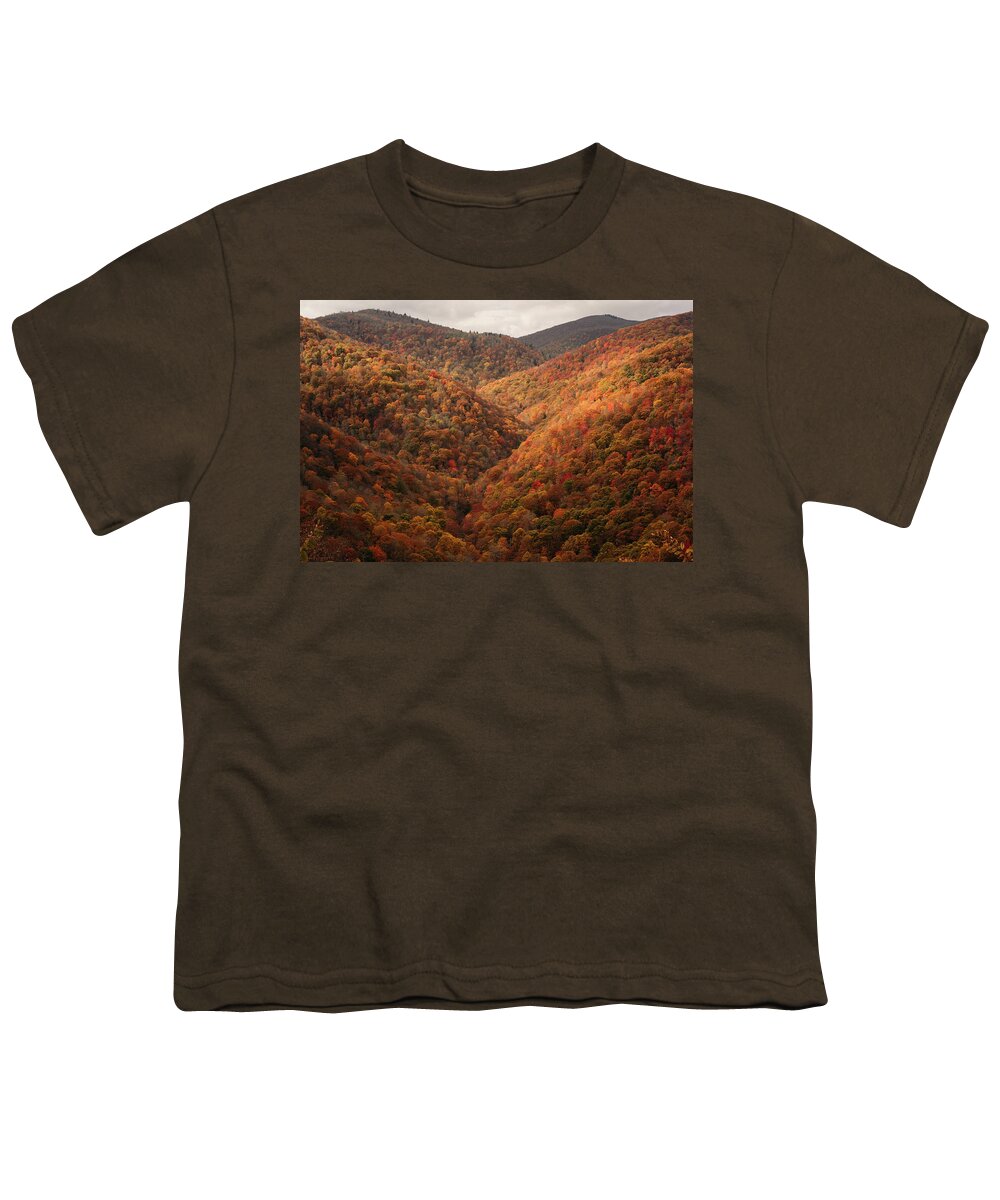 Blue Ridge Parkway Youth T-Shirt featuring the photograph Crazy Fall Color at Cherry Cove by Joni Eskridge