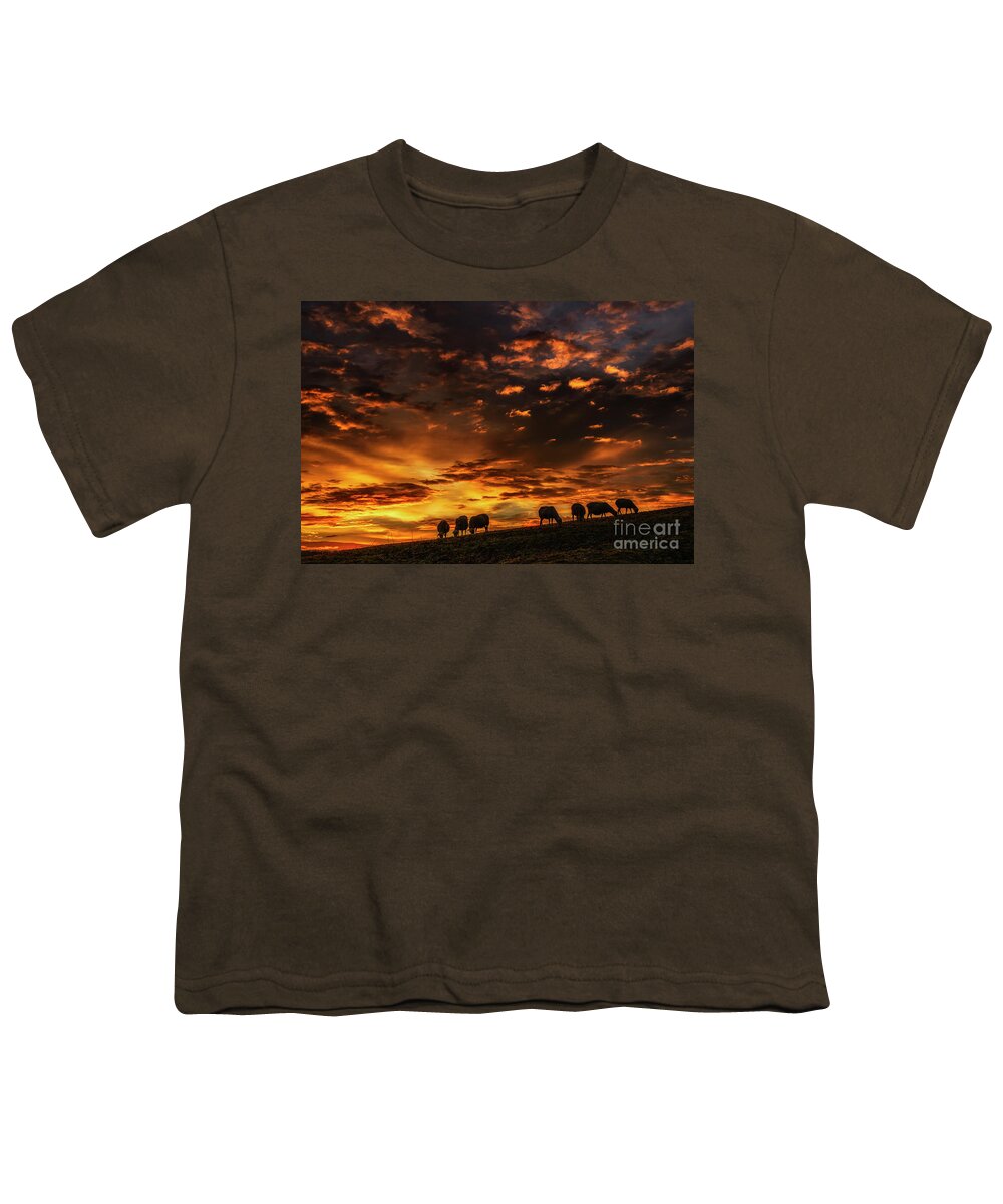 Grazing Youth T-Shirt featuring the photograph Dawn of a February Morning by Thomas R Fletcher