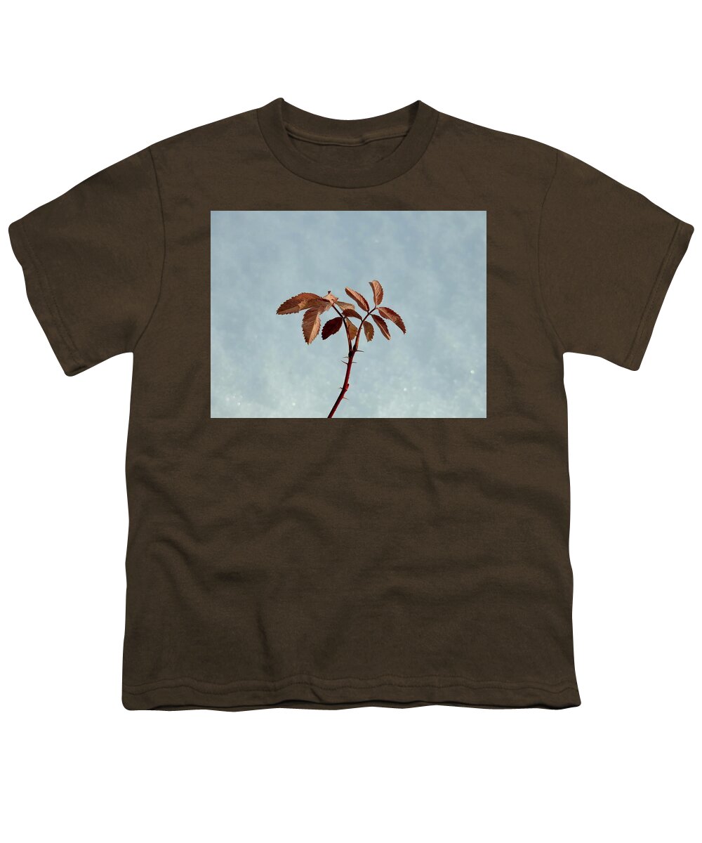  Youth T-Shirt featuring the photograph December rose by Nicola Finch