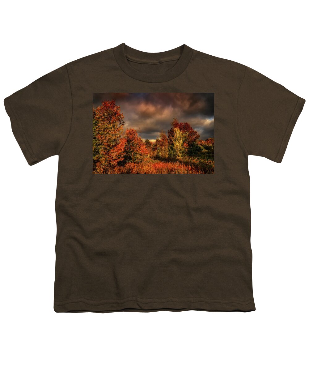 Foliage Youth T-Shirt featuring the photograph Dramatic Autumn sky landscape by Lilia S