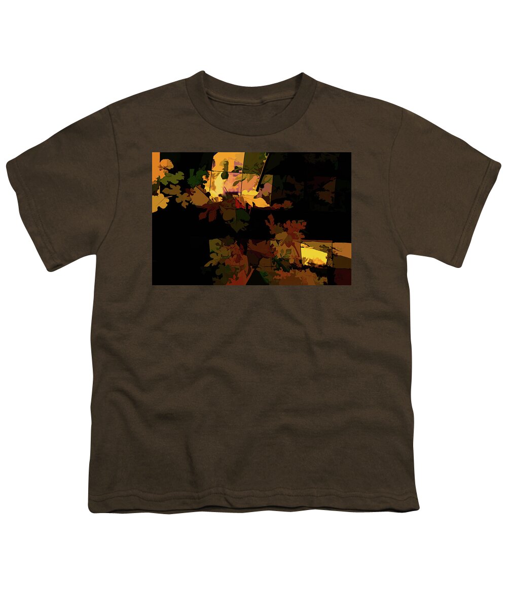 Fall Leaves Abstract Youth T-Shirt featuring the photograph Fall Leaves Abstract by Sharon Popek