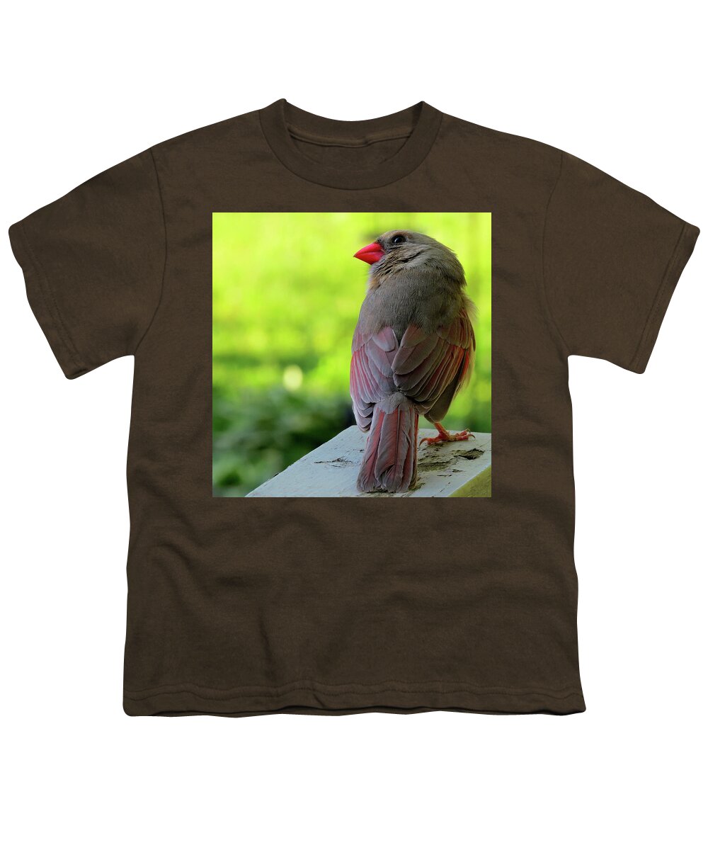 Birds Youth T-Shirt featuring the photograph Female Cardinal Wearing Her Lipstick and Looking for Mr. Right by Linda Stern