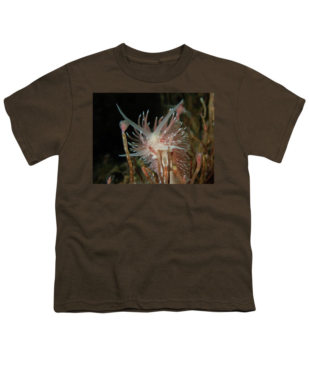 Nudibranch Youth T-Shirt featuring the photograph Flabellina verilli amongst the hydroids by Brian Weber